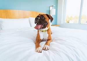 Residence Inn Providence Coventry