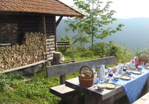 Rinkenturm by Interhome