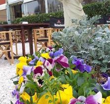 Ristorante Albergo Corona