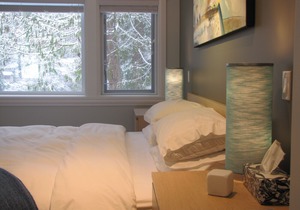 Riverfront Bed and Breakfast - Lynn Valley Room