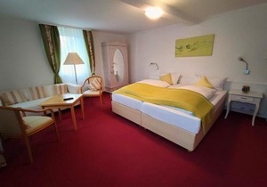 Room in Guest room - Pension Forelle - double room no01