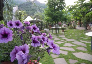 Room x 3 Villa Des Reves in the green near Montecassino