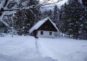 Rooms and Apartments Lake Bohinj