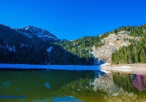 Rooms & Apartments Durmitor