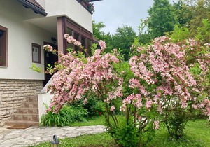 Rooms Radmila, (16017), Plitvicka jezera, hr