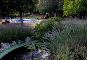 Rural apartment Can Guilló for 4/6 people