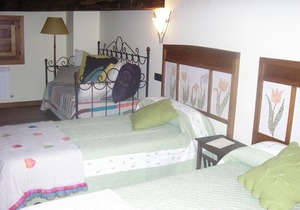 Rural house (full rental) Villages of Treviño for 10 people