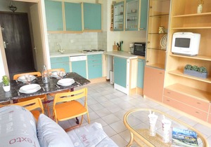 Saint-Lary-Soulan: T2, 4 people, west view, balcony, elevator, near Pla d'Adet