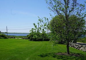 Sakonnet Point water view cottage with 8 minute walk to idyllic private beach .