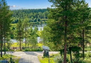 Sallanhelmi a2 in Salla