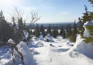 Sallanhelmi a2 in Salla