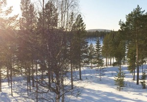Sallanhelmi a2 in Salla