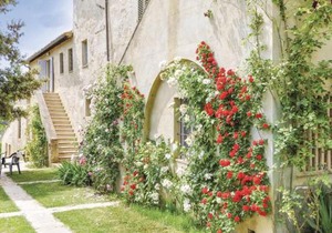 Sanlucchese 2