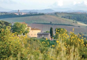 Sanlucchese 4