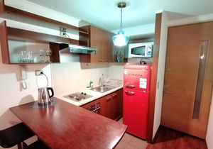 Santiago Moneda Suites 910