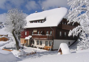 Scenic Apartment in Todtnauberg with terrace