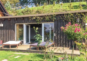schoenes Ferienhaus-Grossklein