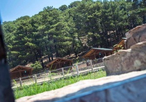 Secluded Bungalow in the Heart of Nature Babakamp Eco Ranch & Retreat