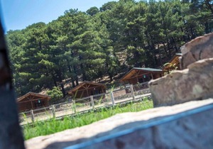 Secluded Bungalow in the Heart of Nature Babakamp Eco Ranch & Retreat