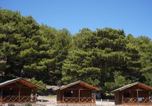 Secluded Bungalow in the Heart of Nature Babakamp Eco Ranch & Retreat