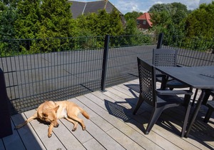 Seeschwalbe by Interhome