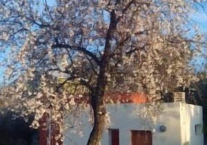 Self catering cottage La Aldea for 2 people