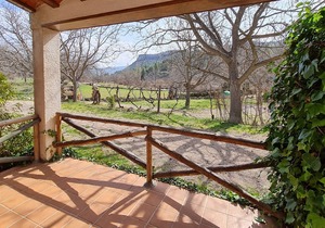 Self catering cottage Los Enebros for 4 people