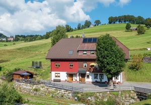 Serene Apartment in Todtnauberg with terrace