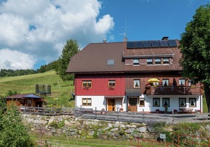 Serene Apartment in Todtnauberg with terrace