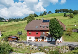 Serene Apartment in Todtnauberg with terrace