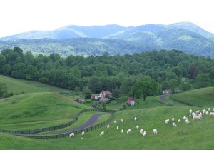 Serenity and Adventure on Historic Blue Ridge Farm