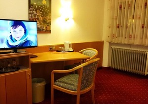 Single Room - Hotel-Restaurant-Café Goldbächel