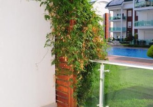 Side Gardenia Residence
