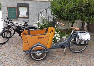 Single Room Comfort - Adler guest room Hotel Biergarten