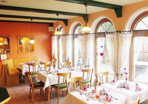 Single Room - Country Hotel "Neuwiese" with traditional inn "At the Mill"