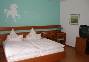 Single Room Shower / WC - Landhotel am Wenzelbach