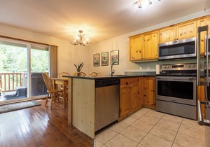 Ski In & 15 Minute Walk to the Lifts. Hot Tub. A/C. Pet Friendly