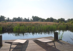 Spacious apartment with a piano in the heart of East Friesland