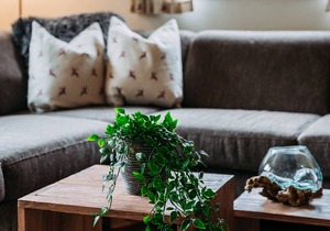 Spacious chalet near the Rauris ski area