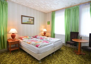 Spacious group house in the Harz region with a fenced garden