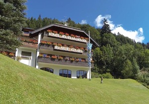 Standard Double Room with Balcony - Hotel Blaue Gams