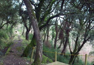 Stroll through its beautiful landscapes and enjoy tranquility