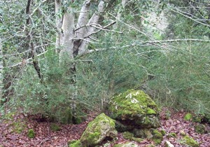 Stroll through its beautiful landscapes and enjoy tranquility