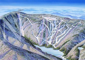 Stroll to Slopes, Village Area, Ski in-out MtLodge 241
