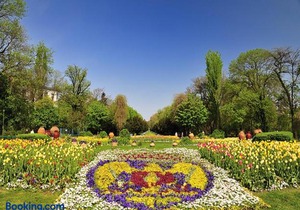 Studio Cismigiu Park