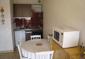 Studio climatisé avec coin nuit et terrasse plein Sud, 10 m², parking inclus - FR-1-100-194