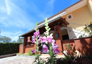 Studio Cocaletto Studio