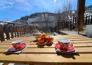 Studio confortable avec terrasse à Pra Loup, proche pistes - FR-1-165A-70