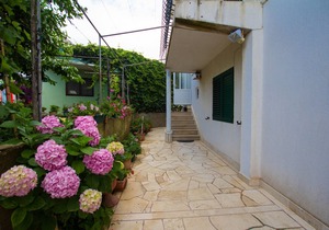 Studio flat near beach Sućuraj, Hvar (AS-566-a)