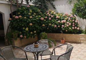 Studio flat with terrace and sea view Vis (AS-2476-b)